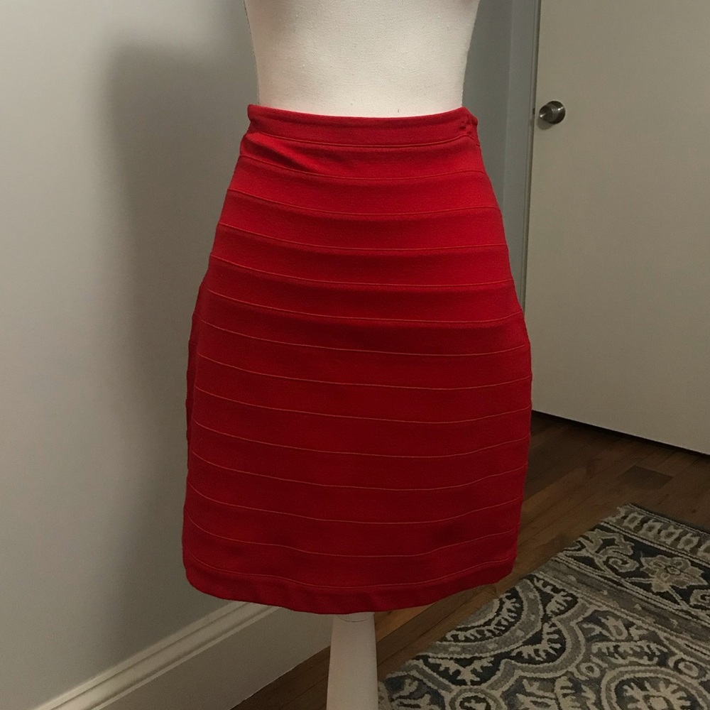 Express Fitted Skirt - Picture 3 of 7